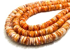AAA Natural Orange Spiny Oyster Rondelle Heishi Disc Polished 12mm Beads PG265B
