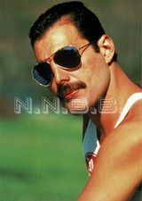 Freddie Mercury "Queen" 10 x 8 Publicity Photo