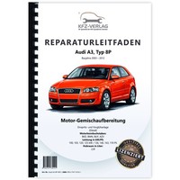 Audi A3 8P (03-12) 4-Zyl. 2,0L Diesel Einspritz/VorglüHanlage Reparaturanleitung