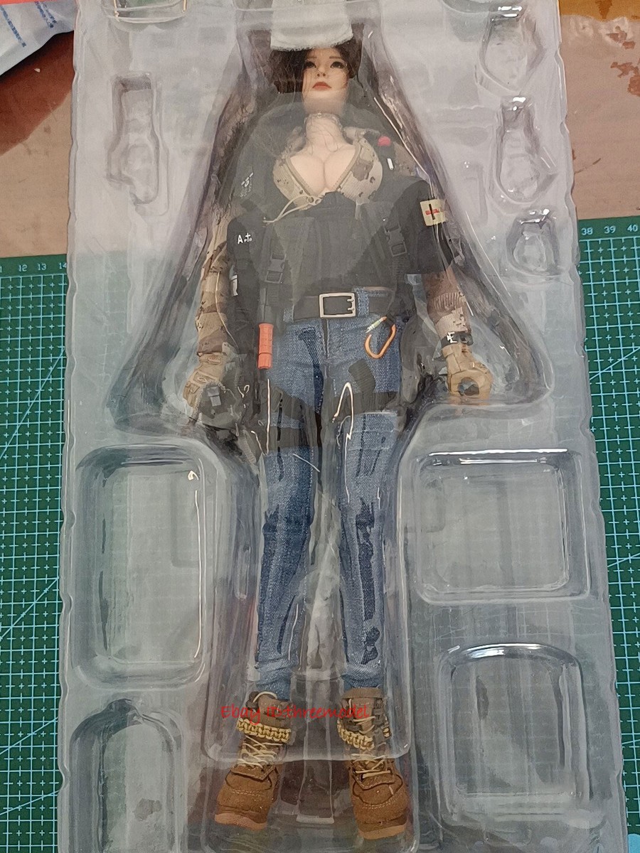 DAMTOYS DAM 1/6 DCG003 DCG004 COMBAT GIRL Series Pisces NANA LUCY