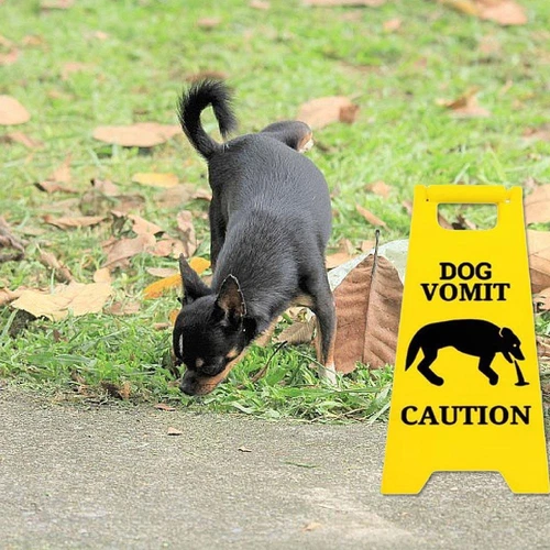 Cat/Dog Vomit Sign Warning Sign Deco Courtyard Pet Sign for Home or Pet Areas - Picture 10 of 17