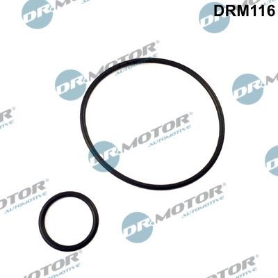 Dichtungssatz, AnsaugkrüMmer Dr.Motor Automotive DRM116 FüR CitroËN Peugeot-image