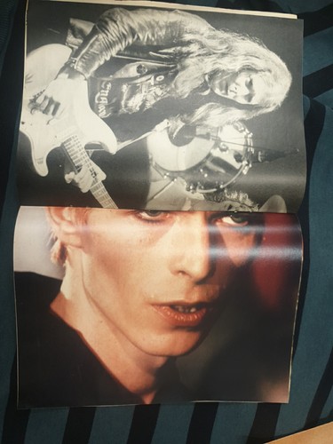Bravo Nr. 27 vom 25.06.1981, Elvis, Nina Hagen, Judas Priest, David Bowie... - Bild 5 von 5