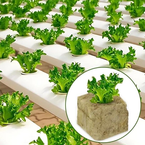 Rock Wool Grow Cubes Seed Starter Plugs Hydroponic Planting Blocks Kit - Picture 9 of 26