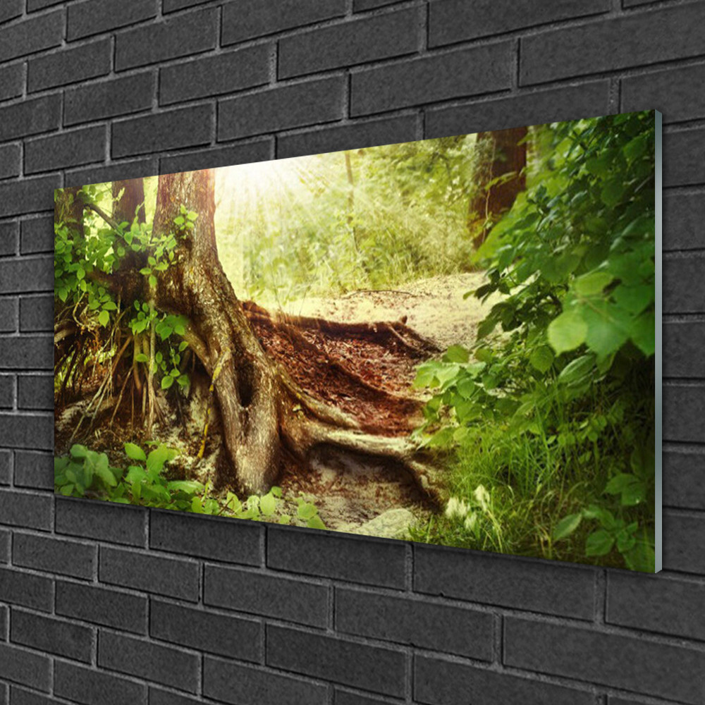 Image impression nature tronc d'arbre 100x50 : tableau en verre pour une chambre zen
