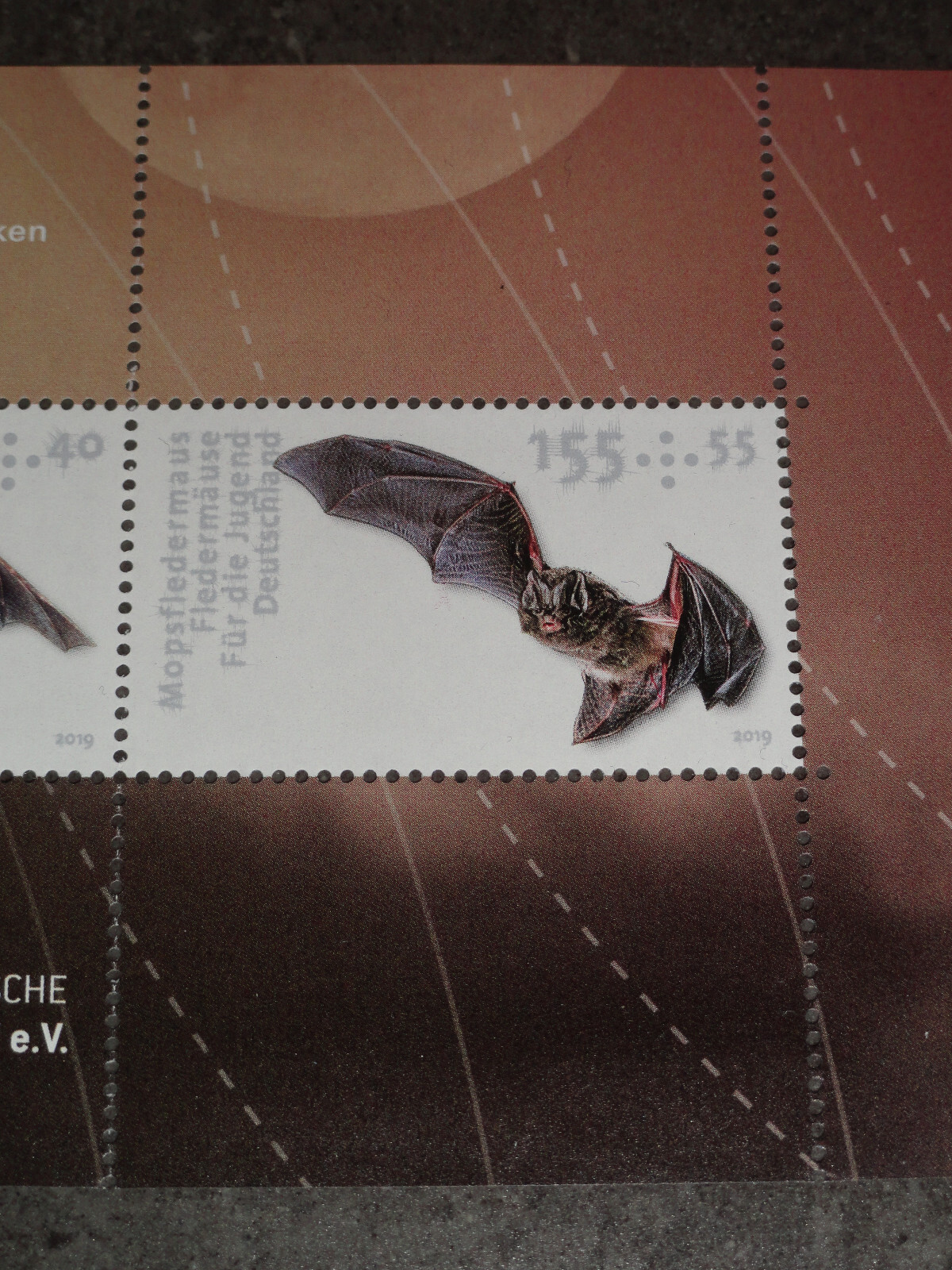 Bild 4 von 5