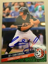 Cam Gibson 2015 Signed Connecticut Tigers Team Card