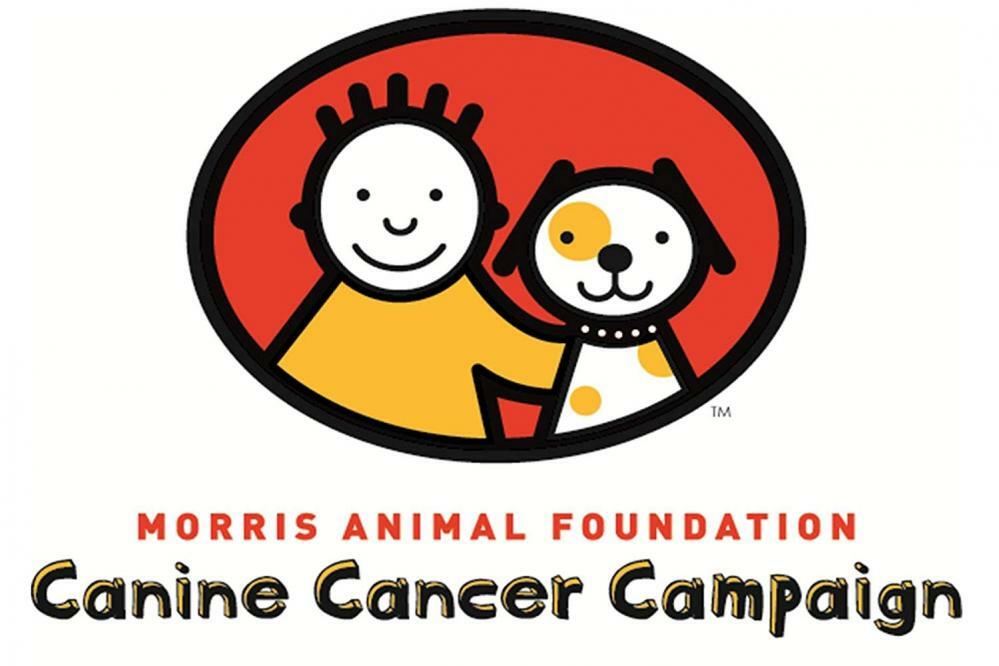 EpiPet Sun Protector Spray for Pets eBay