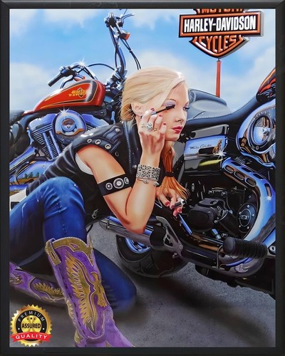 Harley Davidson - Makeup - Biker - Metal Sign 11 x 14 - Picture 3 of 4