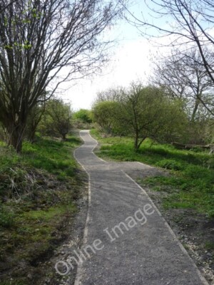 Foto 6x4 Pfad in St Nick's Fields York \/SE5951 Blick entlang eines Pfades in S c2010