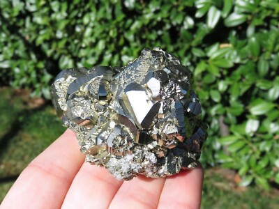 Mineralien Lucentissima Pyrit Cubo-Ottaedrica Peru