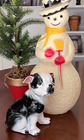 Bild 7 von 7
