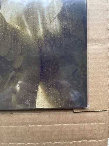 Paramore This is Why Vinyl LP Clear Colour Assai Obi Edition - LIMITED TO 300 - Picture 5 of 10
