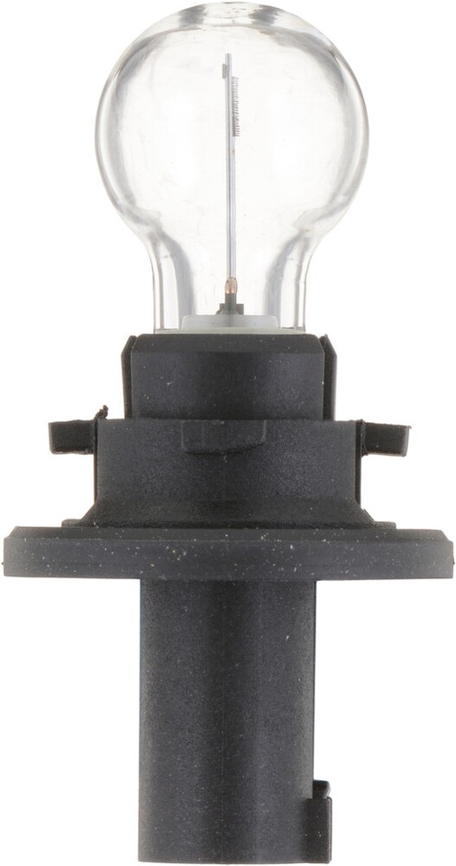 Back Up Light BulbStandard Single Commercial Pack Philips HPC16WC1