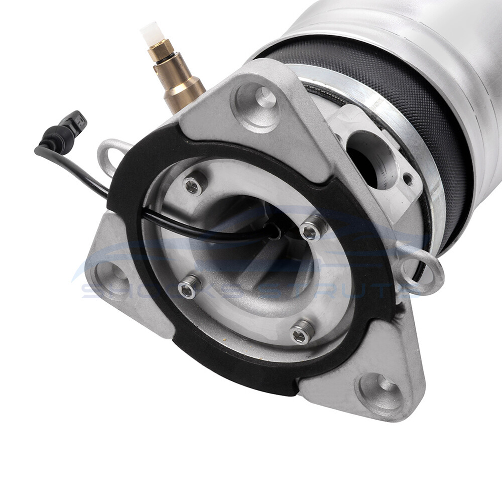 Rear Left Air Suspension Strut Shock For VW Phaeton, Bentley Continental GT GTC