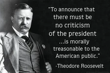 Theodore Roosevelt Criticism of the President Quote Teddy Poster 12x18