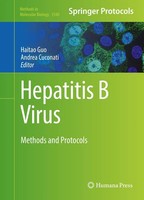 Haitao Guo (U. A.) | Hepatitis B Virus | Buch | Englisch (2016) | Xii | Humana
