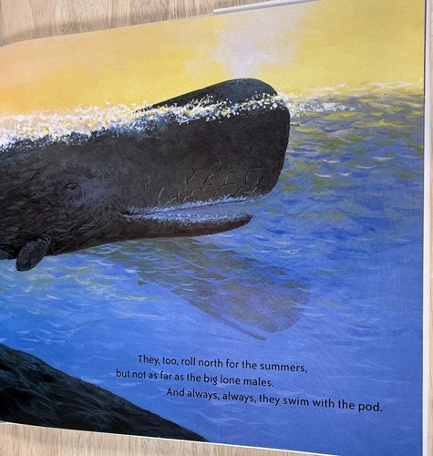 Baby Whale's Journey by Jonathan London, Ill. Jon Van Zyle, Chronicle Books 1999 - Picture 3 of 5
