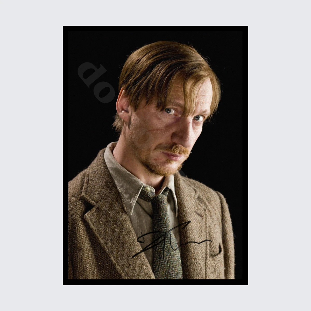 David thewlis harry potter deals