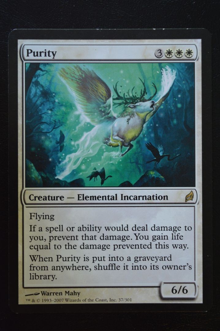 Magic MTG Purity EN LP Lorwyn