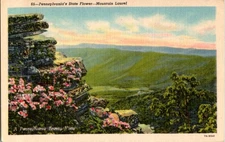 State Of Pennsylvania PA : PANORAMIC SCENE d/24 BE5516