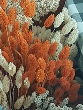 Halloween: 30 tiges fleurs séchées naturelles