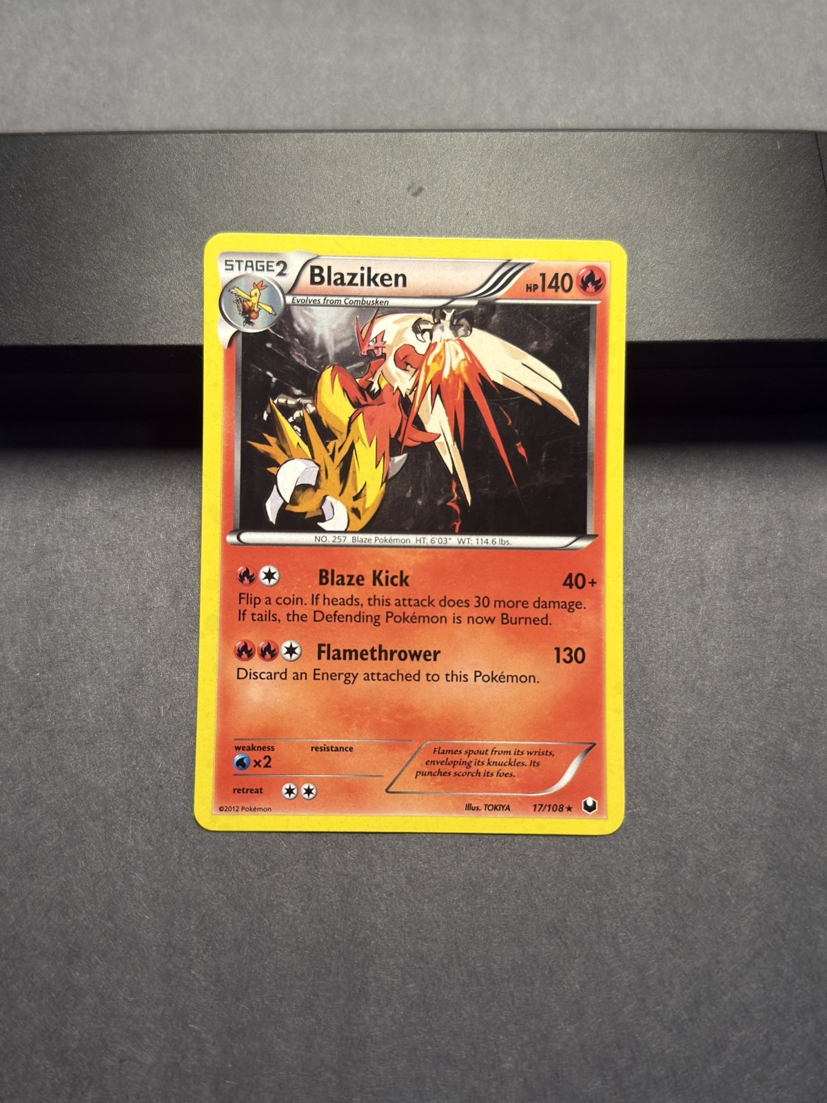 Blaziken Holo Holo Rare Dark Explorers 17/108 NM