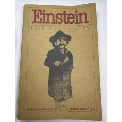 Pantheon Einstein For Beginners Book Unisex OS Brown Paper Vintage Physics Comic