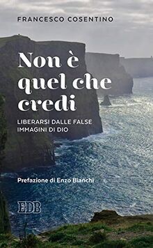 Non è quel che credi. Liberarsi dalle false immagini di ... | Buch | Zustand gut