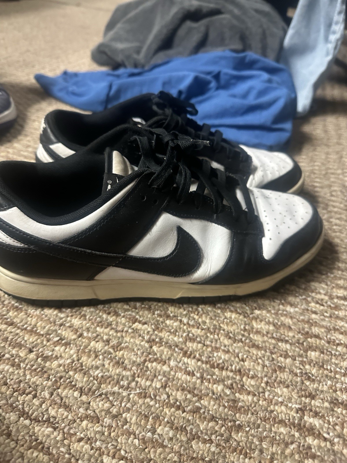 Panda Dunks - image 3