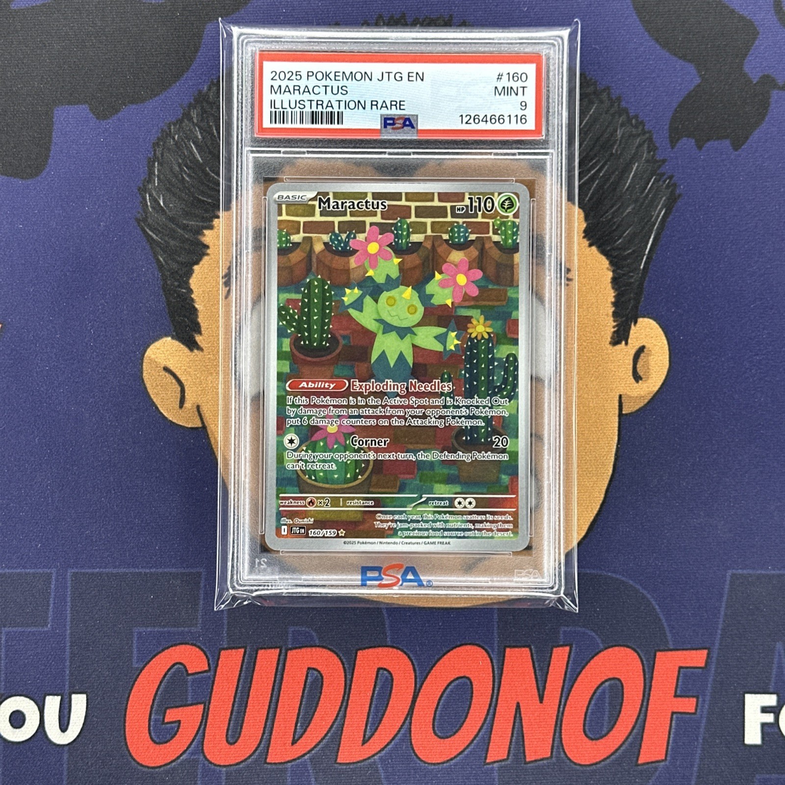 PSA 9 MINT 2025 Pokemon Journey Together MARACTUS #160 Illustration Rare