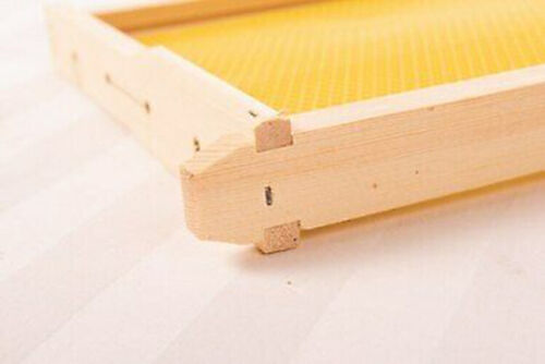 20 Bee Foundation Deep Bee Hive Wax Foundation Bee Hive Frames with Wire - Picture 8 of 11