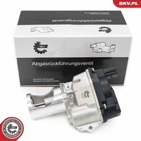 Esen SKV Agr-Ventil AbgasrüCkfüHrung FüR VW Touareg Audi Q5 A6 Avant 7P5 8RB 8R