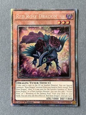 Yu-Gi-Oh! - Red Rose Dragon - MP25 - Starlight Rare - NM