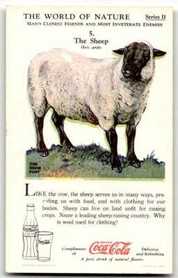 1929-34 Coca-Cola World of Nature Series II #5 The Sheep | eBay