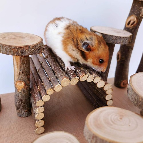 Wooden Hamster Bridge, Small Animals Climbing Ladder Activity Set Platform Ra... - 第 5/6 張圖片