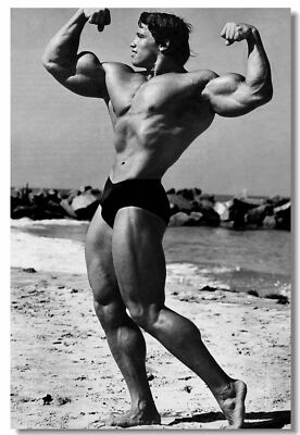 Arnold Schwarzenegge Body Building Room Wall Print Poster 20x30