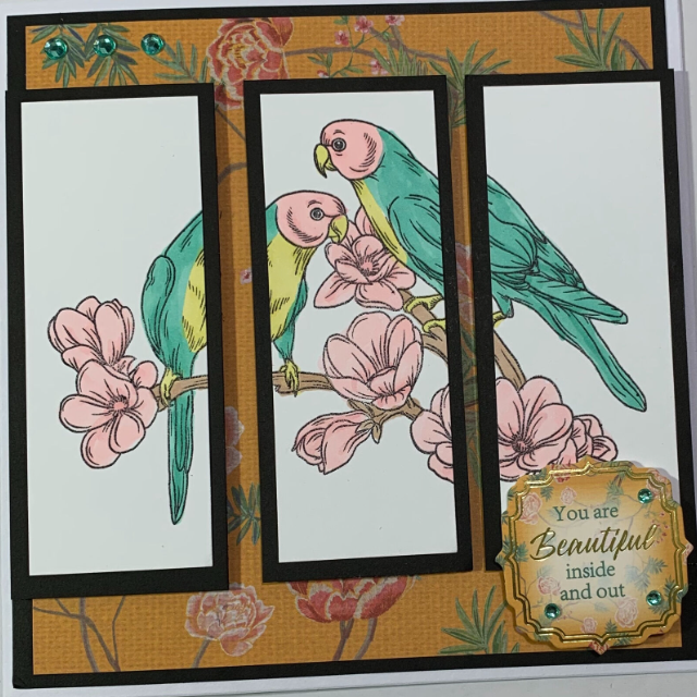 New Any Occasion Cards