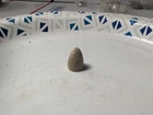 Dug Civil War era Confederate .54 Mississippi rifle bullet