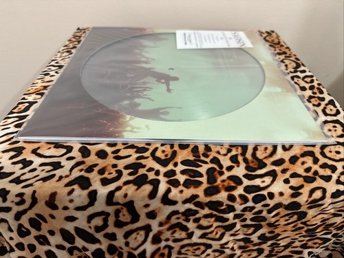 Saosin Translating the Name LE Picture Disc SOLD OUT! Limited to 500 Copies - Picture 11 of 12