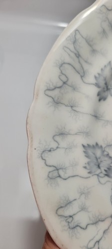 c 1892 George Grainger & Co (Royal China Works, Worcester) "Moss Fibre" plate - Picture 12 of 13
