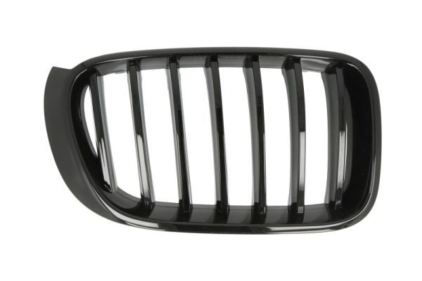 Blic 6502-07-00939988P KüHlergrill Gitter Rechts FüR BMW X3 F25 X4 F26-image