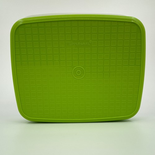 Tupperware Fleischmarinadenbehälter "Season N Serve" mit Deckel grün weiß - Bild 5 von 5