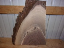 1 PC RUSTIC WALNUT SLAB KILN DRIED LUMBER WOOD 7/8" THICK BOARD 853L LIVE EDGE
