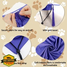 GraduatePro Dog Graduation Cap Gown Purple Medium Sizes