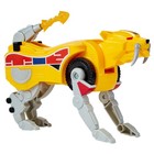 Foto 3 di 3