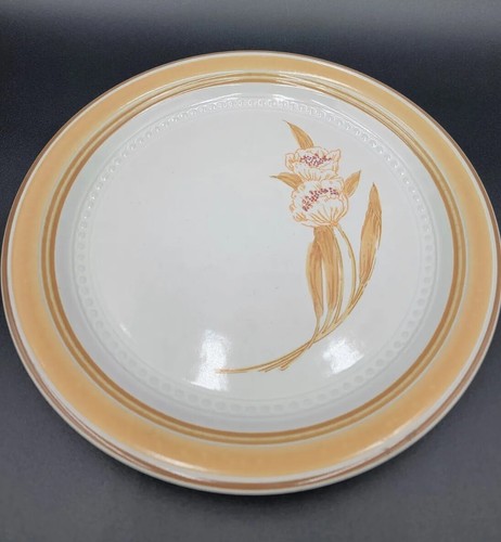 Set of 4 Johann Haviland Summer Song 10" Dinner Plates Gold Flowers Earthenware - Picture 3 of 7