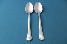 Oneida SPRING GLEN Teaspoons Set of 2 Stainless Distinction Deluxe 6"
