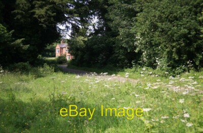Foto 6x4 Haus Farm versteckt unter den Bäumen Ossington c2010