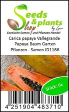 Papaya: Wie Man Sie Zubereitet & Was In Ihr Steckt | Kitchen Stories